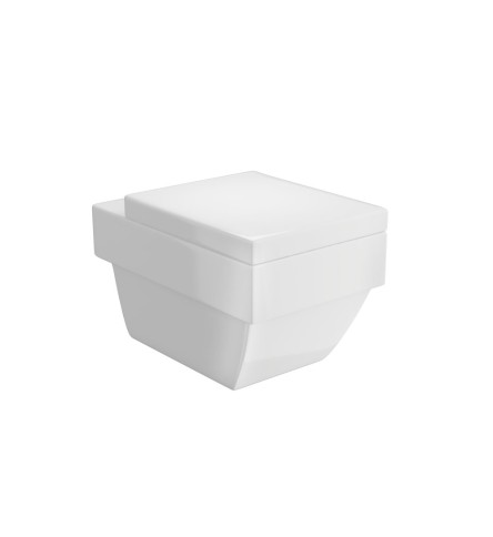 Wall Hung WC