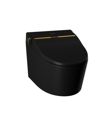 Fully Automatic Rimless Wall Hung WC
