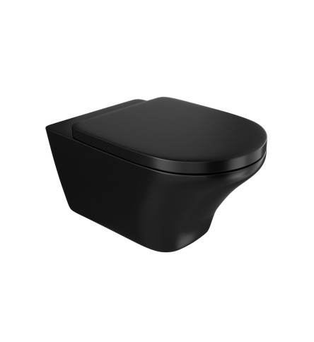 Rimless Wall Hung WC