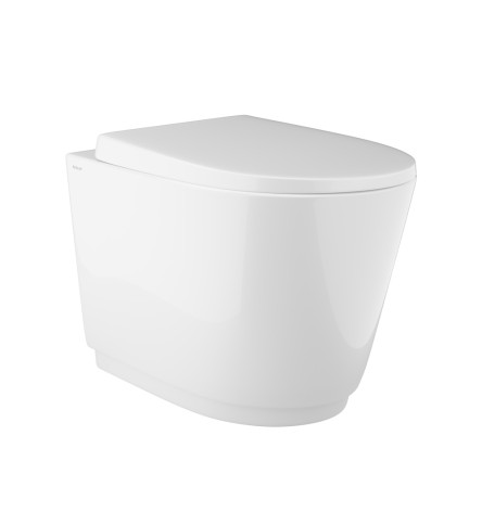 Wall Hung WC