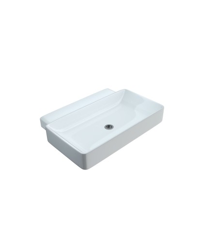 Wall Hung Basin