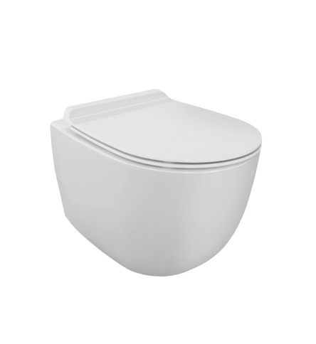 Rimless Wall Hung WC 